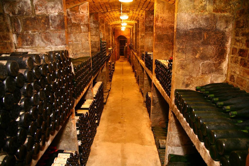 Ferienwohnung Weingut Kloster Pforta Наумбург Стая снимка